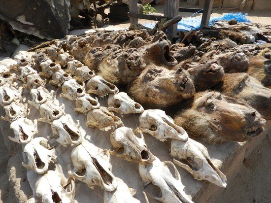 Akodessawa Fetish Market